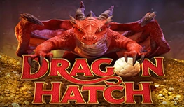 Naga Empire Dragon Hatch